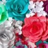 Flor 5 pétalos
