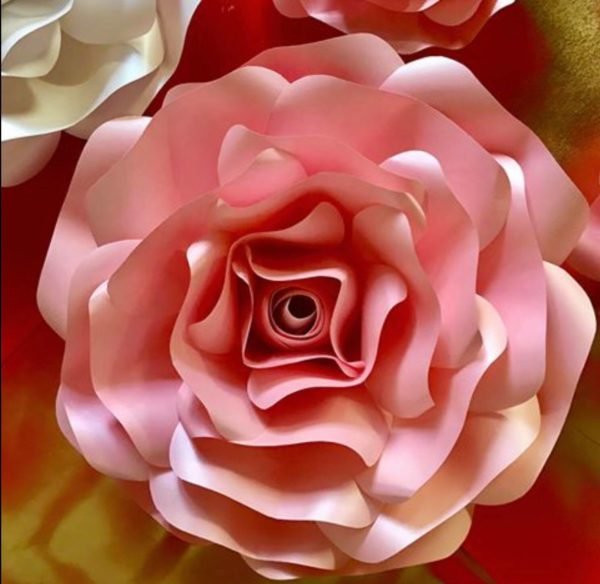 Rosa Gigante de papel