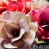 Flor 5 pétalos