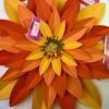 Molde girasol de papel para principiantes